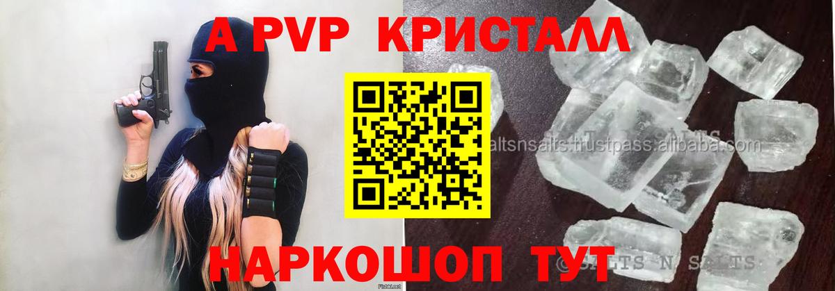 Бошки Шишки Элиста