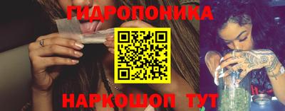 стаф Кингисепп