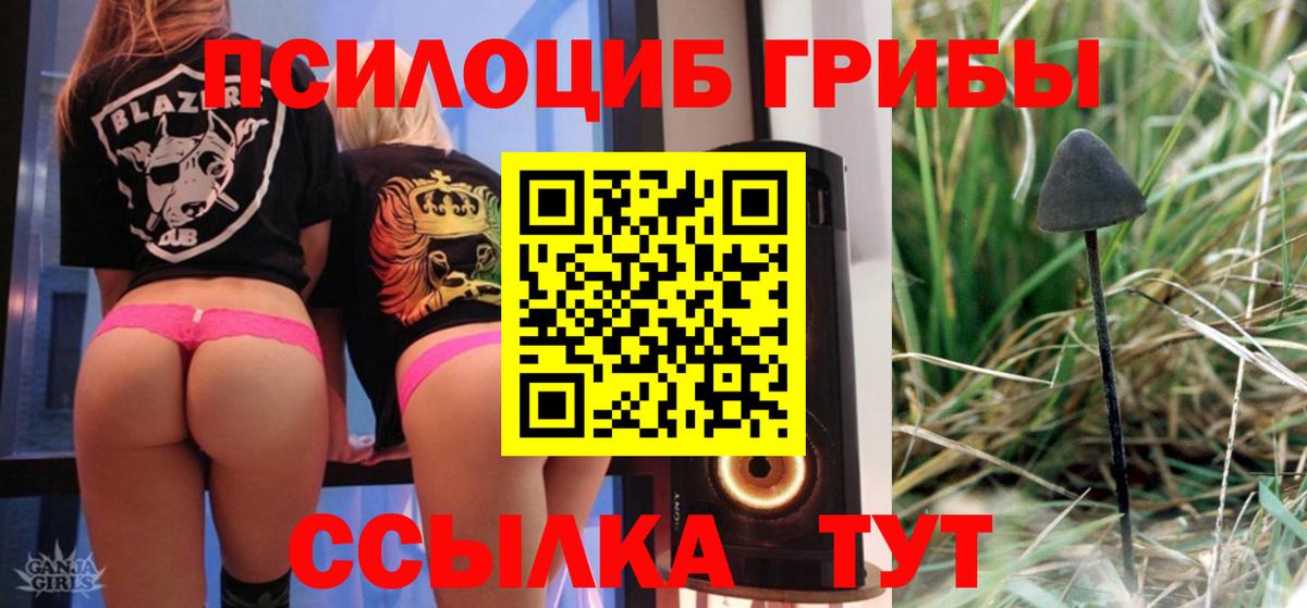 Псилоцибиновые грибы Psilocybe  Галлюциногенные грибы ЛСД  Элиста  наркотики  Вход с VPN 