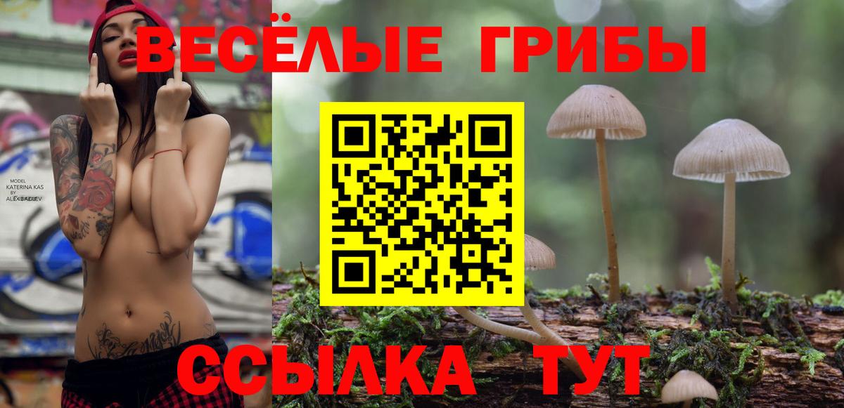 Кокаин  Бошки Шишки  Альфа ПВП СК кристаллы  Мефедрон   ГАШ  Элиста  МЕТ  Вход с VPN  Купить наркоту 